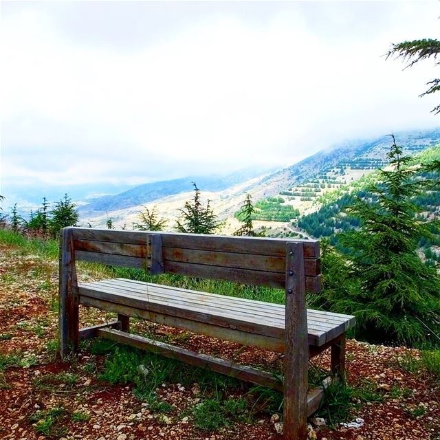 Believe all the possibilities are inside of you, Believe they are OUTside... (Al Shouf Cedar Nature Reserve)