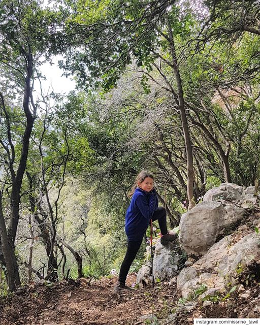  bentaelnaturereserve  hiking  nature  naturephotography  instakids ... (Bentaël, Mont-Liban, Lebanon)