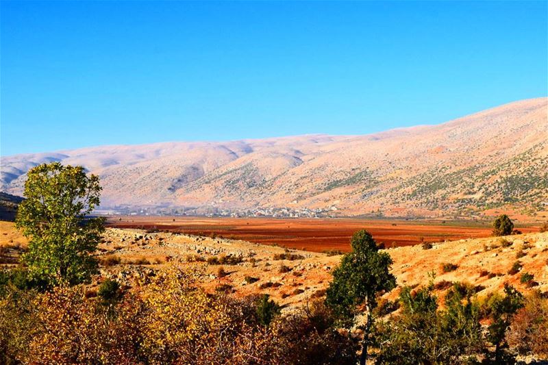  beqaa  lebanon  photo  photoftheday  nature  livelebanonlovelebanon  ... (El Yammoûné, Béqaa, Lebanon)