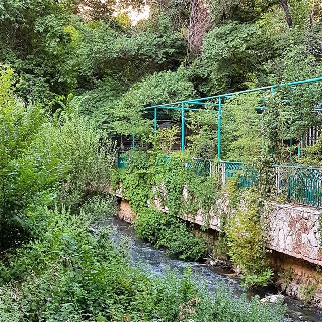 Berdawni zahle. zahle zahleh lebanon river berdawni restaurants valley... (Berdawni Zahle)