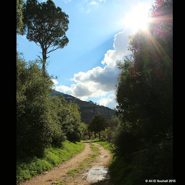  besri  sun  sky  trees  clouds  skyporn  lebanon  lebanon  colorful ... (Besri)