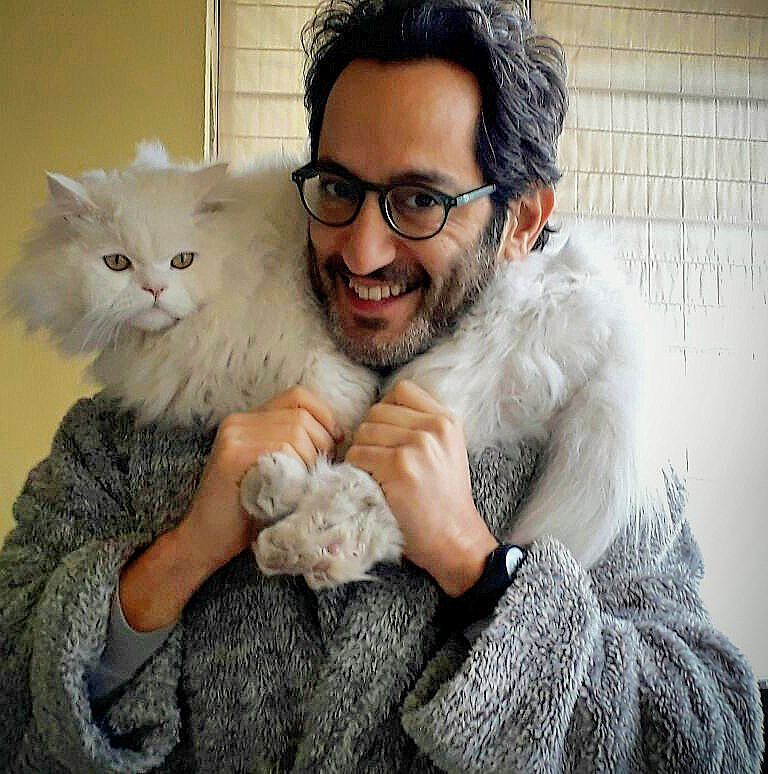 Best fur ever... My Saxo! 🐱💝 Ghassan_Yammine  kittycat  catslover ...