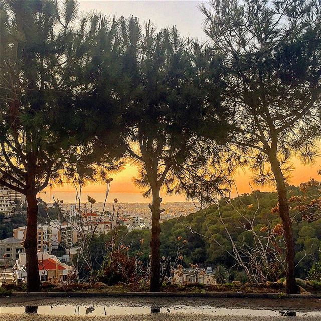 Best part of monday😊 bonsoir:)......................................... (Baabda)