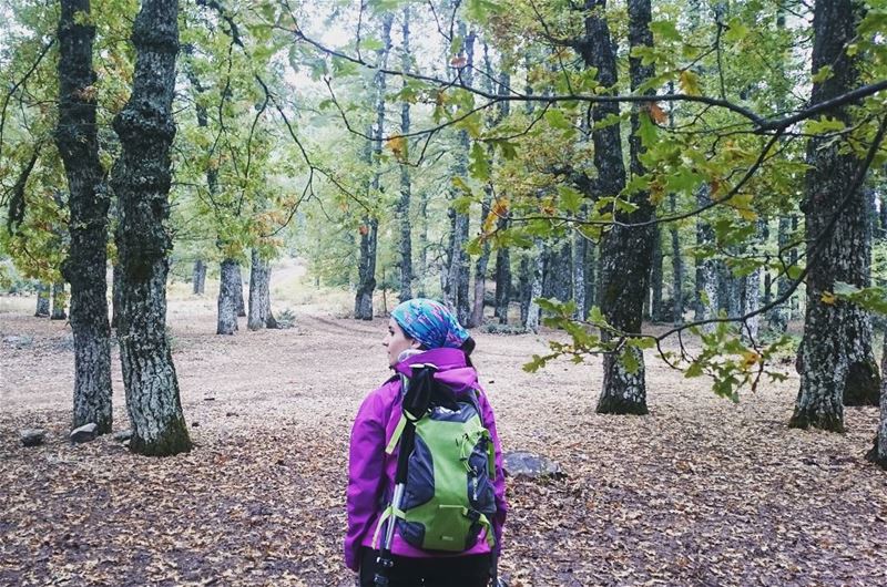  bestofleb hiking adventure nature forest lebanonmania instalebanon...