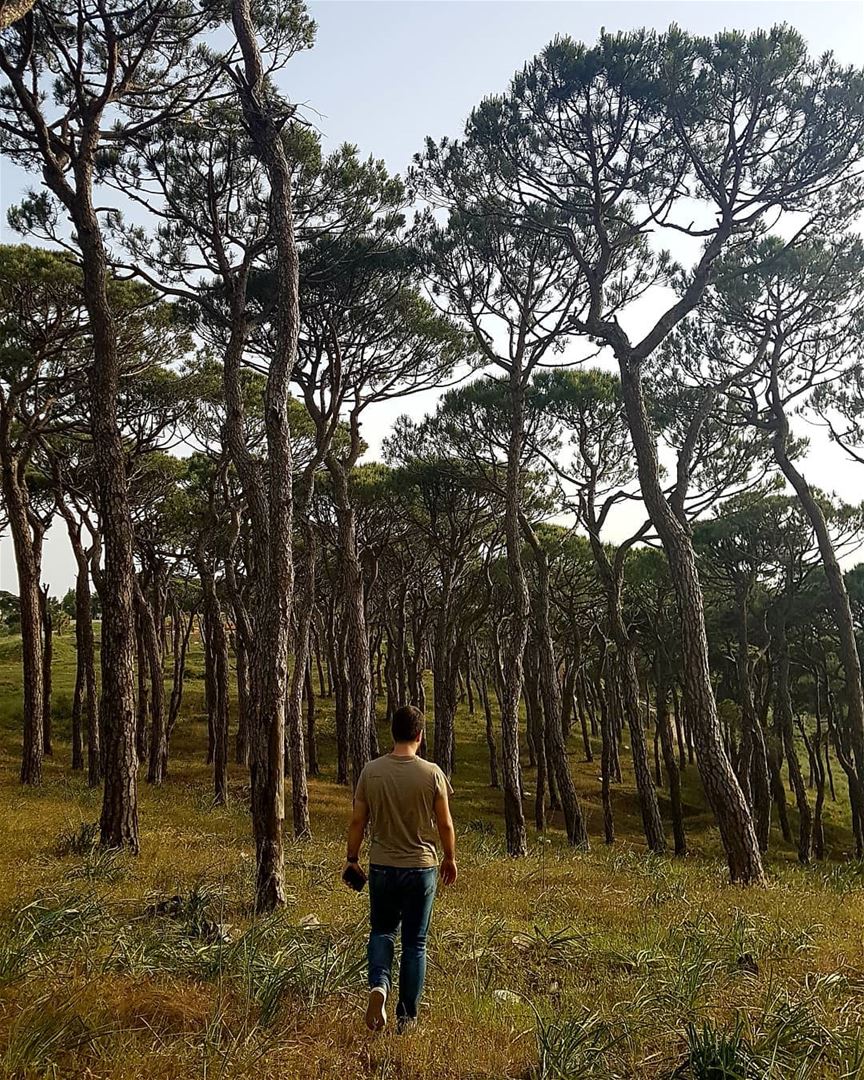 Between every two pines is a doorway to a new world.🌳🌳  goodvibes ... (Marjayoûn, Al Janub, Lebanon)