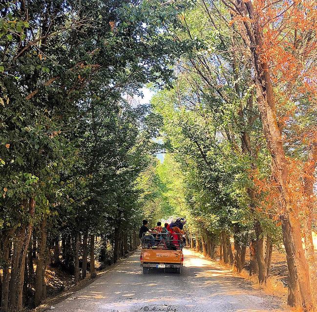 Between Summer & Autumn 💛💚 🌳🍁🍂🌿🍃Hello September!!!  حوش_عميق ... (`Ammiq, Béqaa, Lebanon)