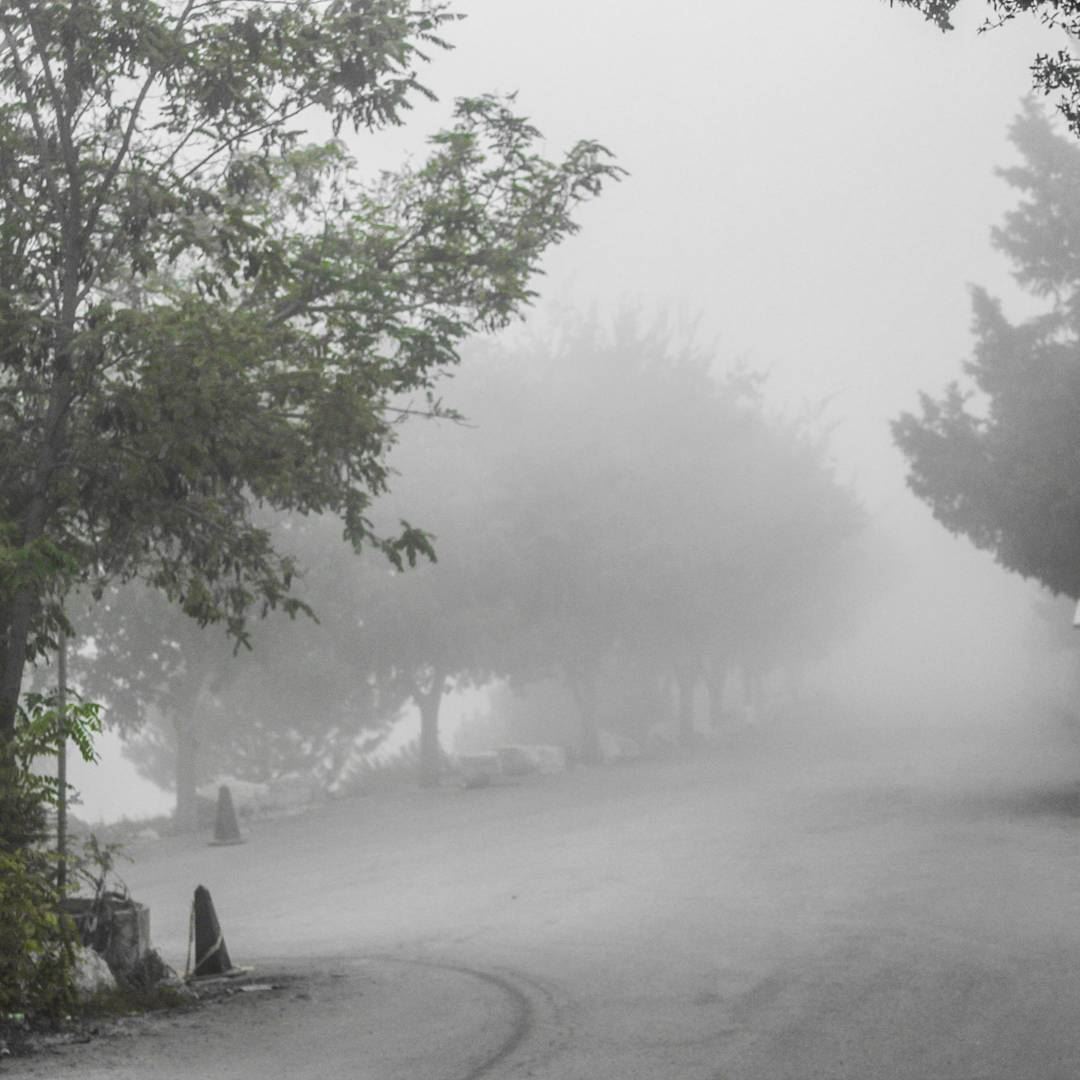 Beyond the  fog lies  clarity livelovelebanon❤️  annayaroad  trees  foggy...