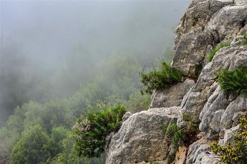 Beyond the Fog lies Clarity..-📍Machnaka, Lebanon 🇱🇧- machnaka ... (El Machnaka, Mont-Liban, Lebanon)