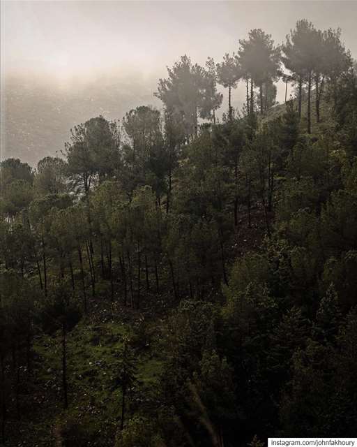 Beyond the fog lies... (Ebel es Saqi marj 'youn)