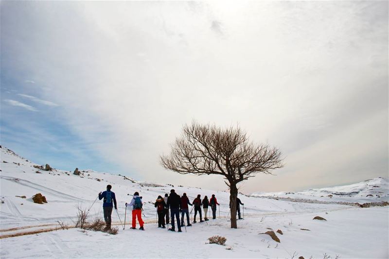Beyond the Horizon! snow  snowshoeing  hike  livelovelebanon ... (Le Plateau de Bakish)