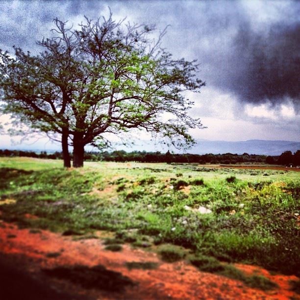 Biblical  ammiq  lebanon  bekaavalley  landscape  trees  nature  storm ...