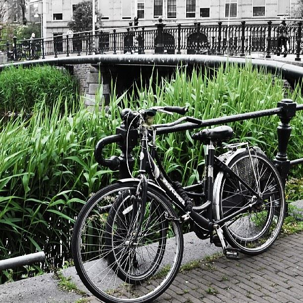  bicycle  green  architecture  Amsterdam  bridge  amstel  river  instapic ...
