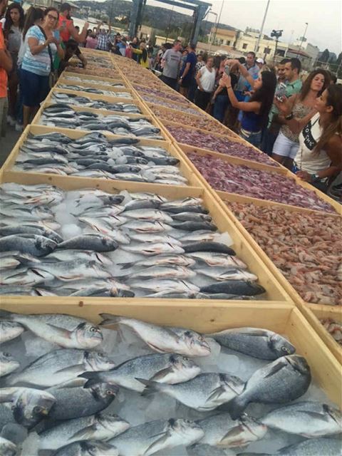 Biggest Sea Food Display (Batroun in Guinness World Records)