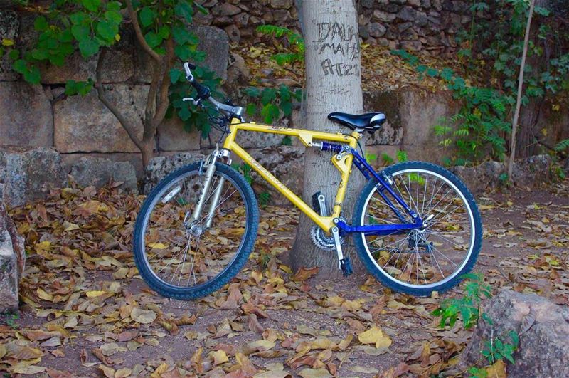  bike  autumncolors  authentic  waiting  insta_lebanon  livelovebekaa ... (`Anjar, Béqaa, Lebanon)