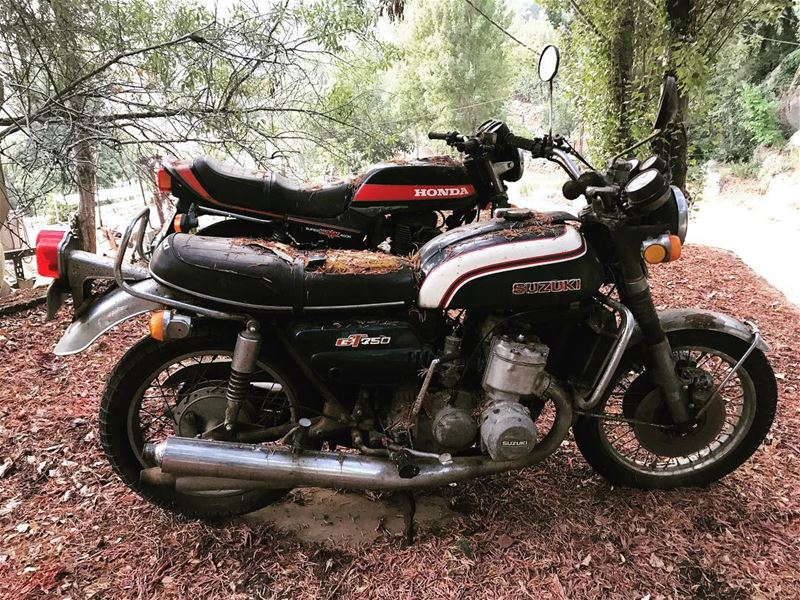  bike bikelife vintage suzuki 750 honda 400  hawk old eighties lebanon...