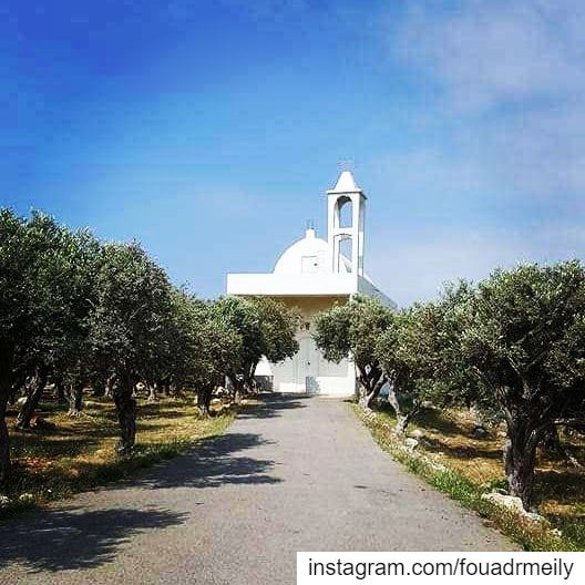  biking  northlebanon  olivetrees  greekorthodoxchurch  whitechurches ... (Anfeh Al-Koura أنفه الكورة)