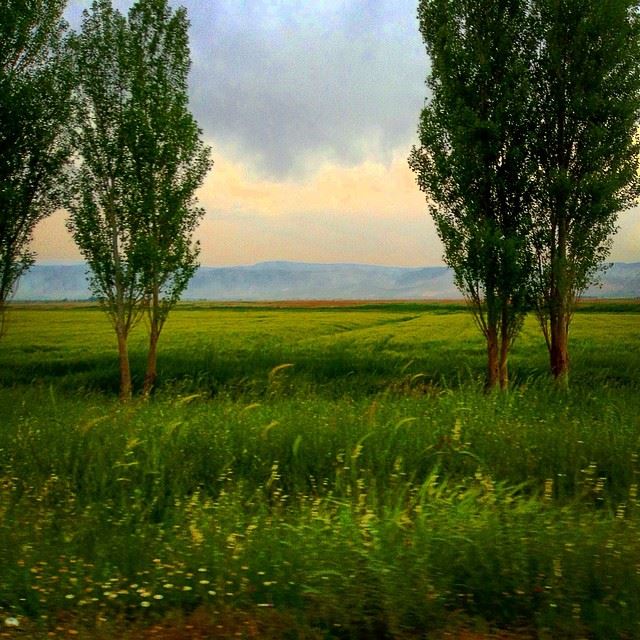 Billowing  gathering  pace  wind  windy  aamiq  bekaa  bekaavalley ...