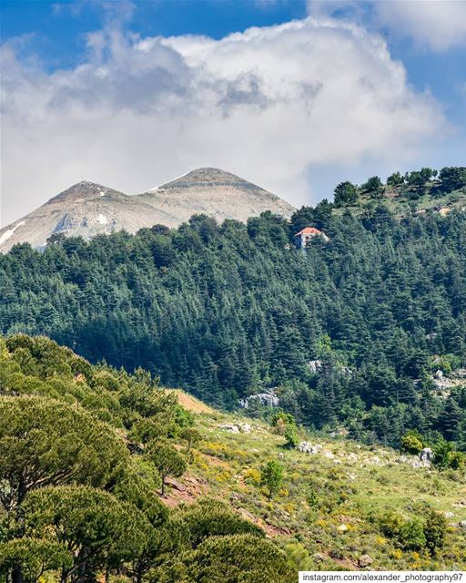 Biodiversity 🏔🏡- The beautiful mountains of Hadath El-Jebbeh and Arz. ... (Hadeth El Joubbe, Liban-Nord, Lebanon)