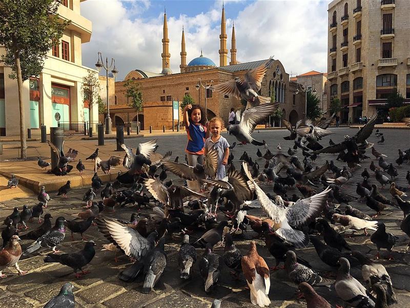 Birds n' Monkeys kinda afternoon (Downtown, Beirut, Lebanon)