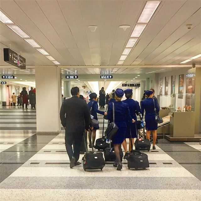 Birds of a feather flock together👩🏻‍✈️👨🏼‍✈️ airport  airhostesses ... (Beirut–Rafic Hariri International Airport)