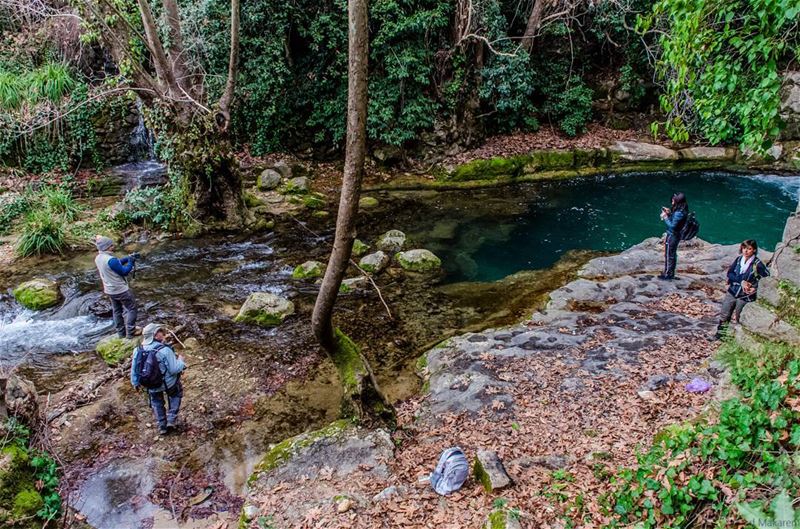 Birker el Arous.   lebanon  hiking  nature  outdoors  livelovelebanon ... (El-Mukhtarah, Mont-Liban, Lebanon)