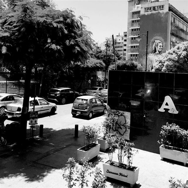  blackandwhite  monochrome  streetphotography  art  singer🎤  sabah  hamra...