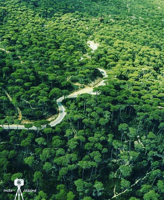  blassine jezzine @libano_brasil  lebanon  livelovelebanon  nature...