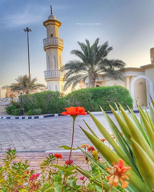 Blessed Friday..🌷 * amazing_qatar  qatarism  clubhdrpro  clubasiapro ... (Doha)