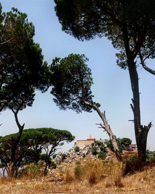 Blessed @livelovemarjeyoun (Marjayoûn, Al Janub, Lebanon)