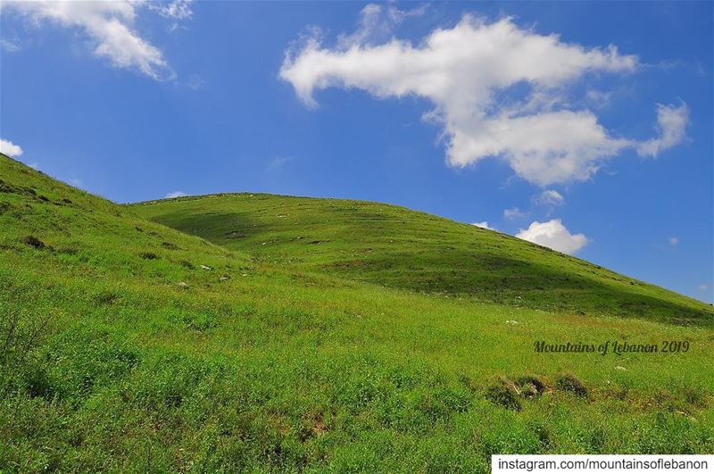 Bliss! remember the windows default screen? that’s the South Lebanon... (Zawtar)