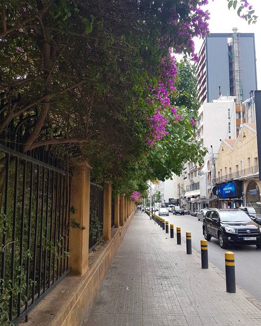 Bliss street...  ig_lebanon  lebanon_hdr lebanonspotlights  lebanontimes...