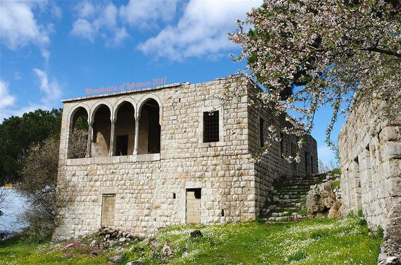 Blossomed almond trees in front of an old gallery stone house in Ballouneh, (Ballouneh, Mont-Liban, Lebanon)