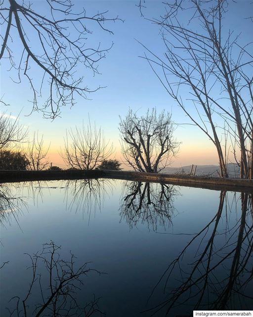 Blue............ relflection  bluehour  tree  pool  lake ... (Lebanon)