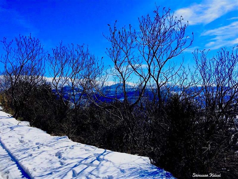  blue  snow  sky  trees  winter  reflection  💙💙...