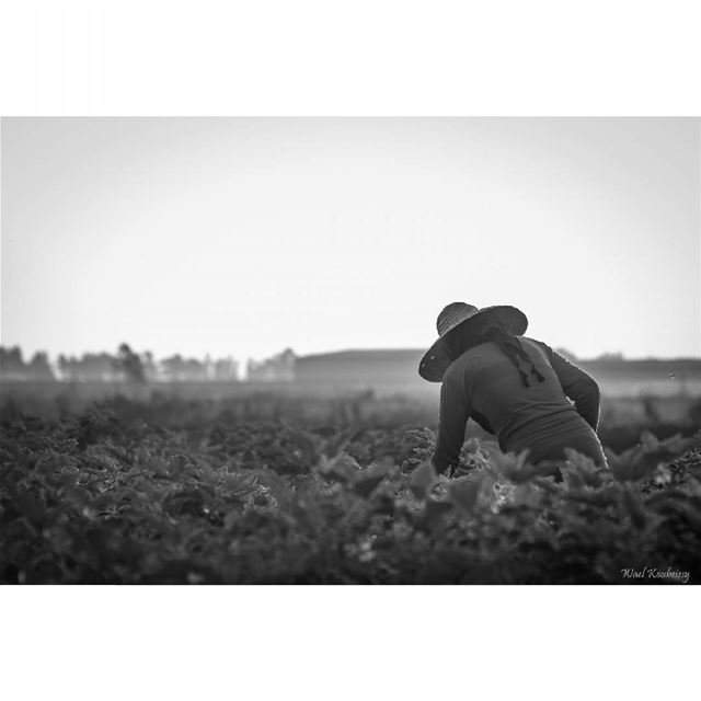  bnw  blackandwhite  farmers  photography  woman  farmer  farming  people ...