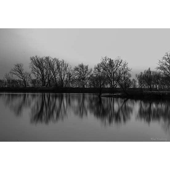  bnw  lake  reflection  deadnature  blackandwhite  trees  nature ... (Deïr Taanâyel, Béqaa, Lebanon)