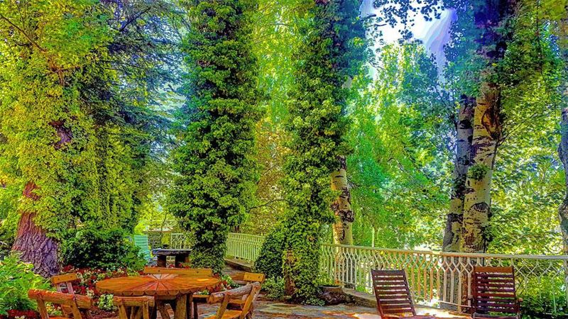 Bohemian chill spot is available. It's straight out of a painting. ... (Jered Tannourine)