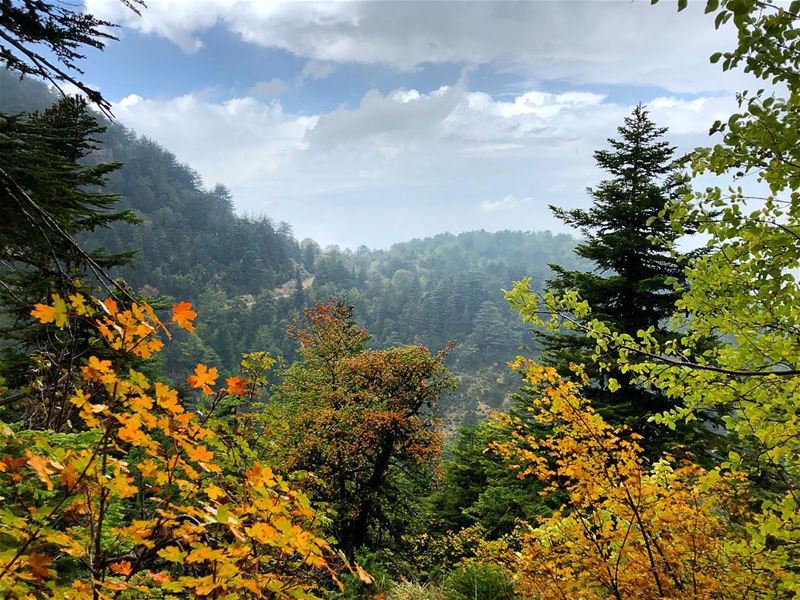 Bon Dimanche a tous!!  horshEhden ••• iphonex  ehden  lebanon  lebanese... (Horsh Ehden)