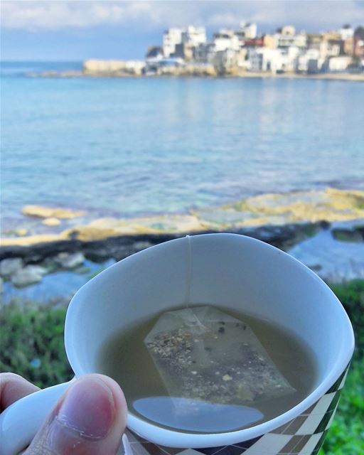 Bonjour 🌊🌊🌊  Drinking  hot  Tea  Batroun  Lebanon  Lebanese ... (CNRS- National Center for Marine Sciences)