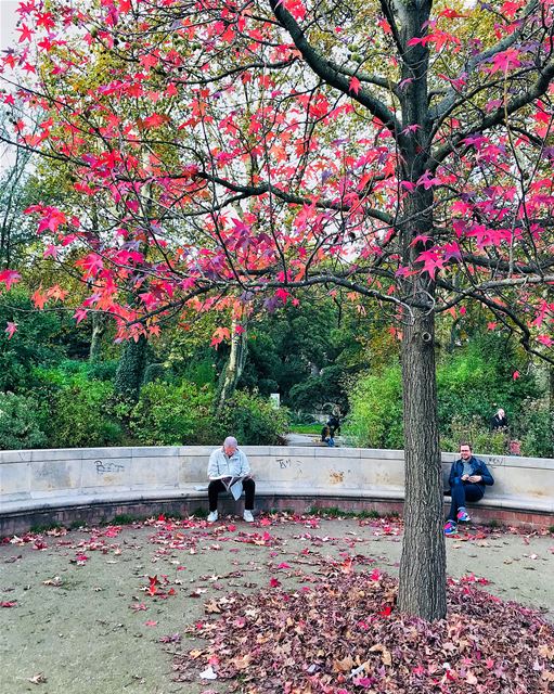 Bonjour! Passez un merveilleux dimanche..... Lebanon  Beirut ... (Parc de Bercy)