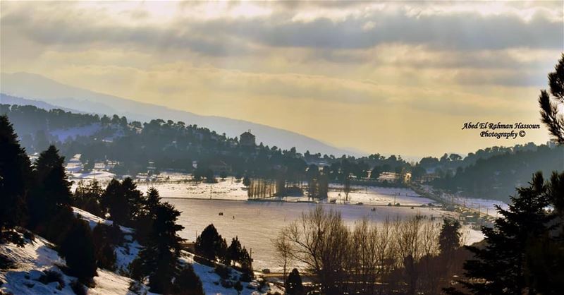Bonjour 🌲🌲🌲  Winter  Qammouaa  القموعة  Akkar  عكار  لبنان   Lebanon ... (El Qammoûaa)