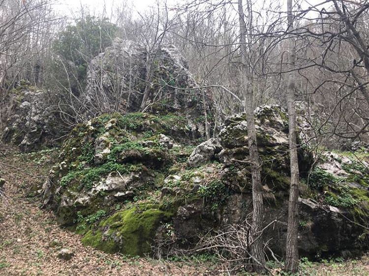 Book your hike to  JabalMoussa by calling 71-944405.  livelovejabalmoussa... (Jabal Moussa)