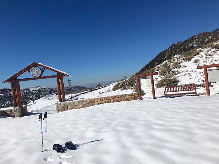 Book your  hiking/  snowshoeing outing to  JabalMoussa and enjoy this... (Jabal Moussa)