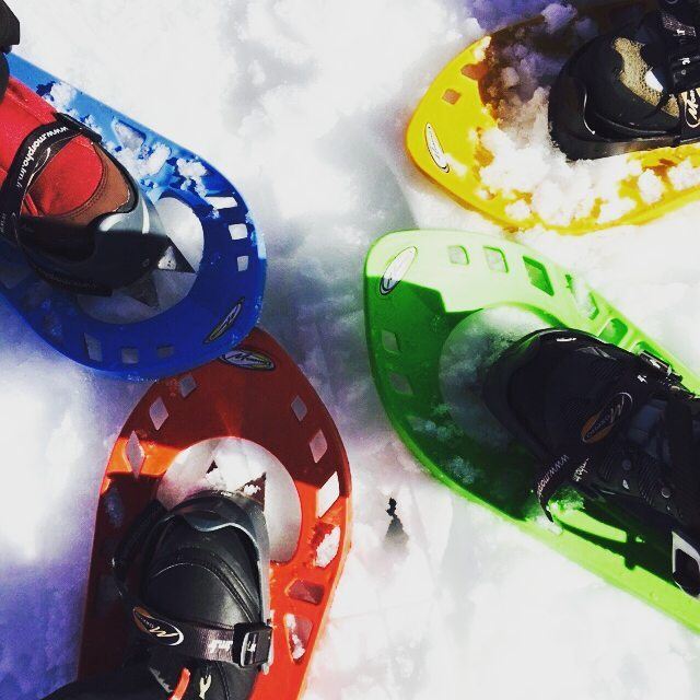 Book your Snowshoeing experience. 03955642 promaxsports  tannourine ...
