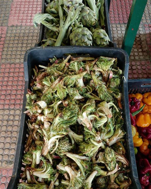 Both are available: Wild artichoke (thisle) and cultivated artichokes.... (Kfarhim)