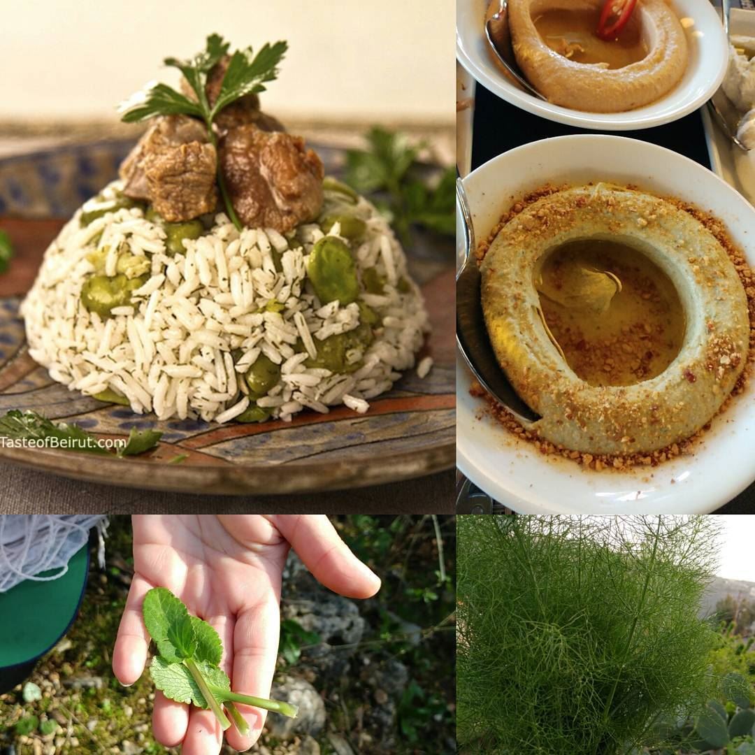 Both of these dishes contain herbs found in the wild and foraged by... (Beirut, Lebanon)