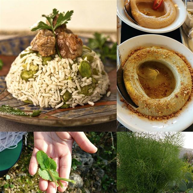 Both of these dishes contain herbs found in the wild and foraged by... (Beirut, Lebanon)