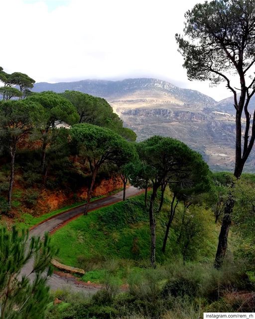 ~Breathe~ (Bkâssîne, Al Janub, Lebanon)