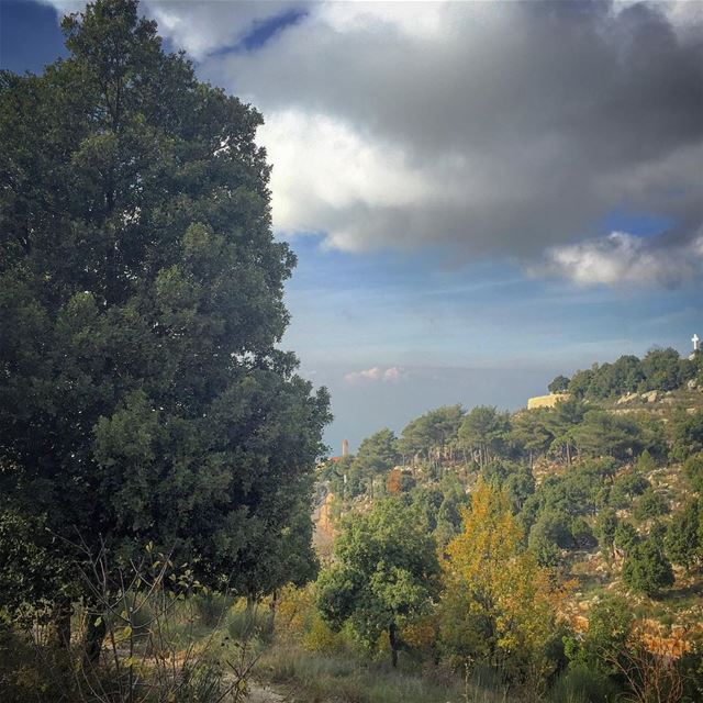 Breathe.  mountain and  trees  tree_magic  landscape  landscape_captures ...