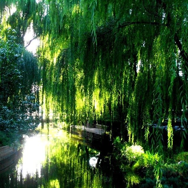 Breathtaking landscape! Beijing  Pekin  igersChina  igersBeijing ...